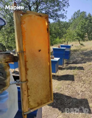 Здравейте приятели продавам 100% чист био мед, снимка 2 - Пчелни продукти - 46170808