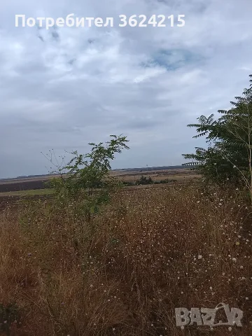 продавам атрактивен парцел в село Брестак , снимка 2 - Парцели - 56057536