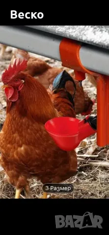 Хранилки и поилки за кокошки, снимка 8 - Кокошки и пуйки - 50181495