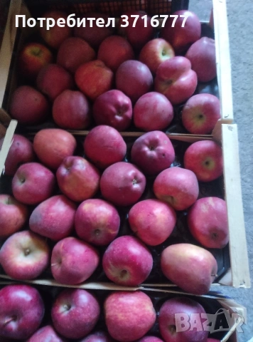 зеленчуци и плодове , снимка 7 - Други стоки за дома - 54265438