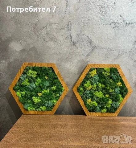 Шестоъгълно пано със скандинавски мъх 