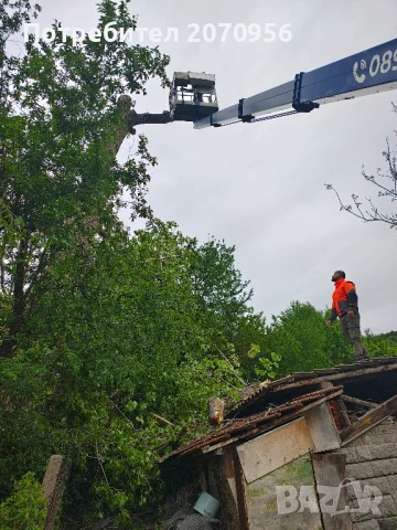 Рязане и кастрене на дървета с автовишка., снимка 2 - Други услуги - 50563832