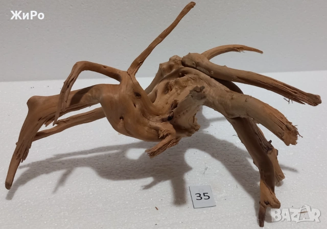 Корен от Азалия /декорация/ 35, снимка 2 - Други - 54093522