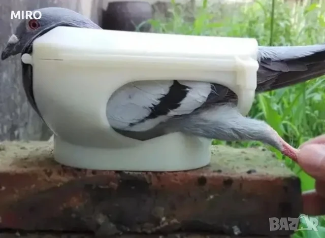 Продавам гнезда и кацалки за гълъби, снимка 3 - Други животни - 50946534