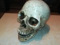 ЧЕРЕП ОТ ГЕРМАНИЯ 3112222029, снимка 5