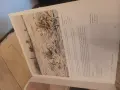 Константин Щъркелов, Самотникът скитник, каталог СГХГ, снимка 13