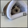 здравейте предлагаме ви Плюшено легло за малки и средни котки 2в1. , снимка 9