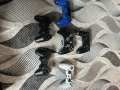 ps4,ps3,Xbox контролери , снимка 1