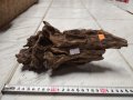 Мангрови корени, снимка 1 - Оборудване за аквариуми - 42824456