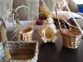 Продавам кошнички, снимка 7