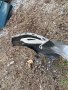 Оригинална задна броня за Vw Golf mk7. 13-17, снимка 4