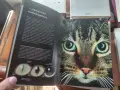 Всичко за котката, снимка 3