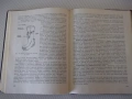 Книга "Алпинизъм - Г.Атанасов/Г.Щерев/М.Златанов" - 208 стр., снимка 6