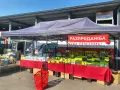 продавам шатра 6 на 3 m, снимка 1