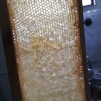 ПРОМОЦИЯ Биологичен пчелен мед, снимка 13 - Пчелни продукти - 42046467