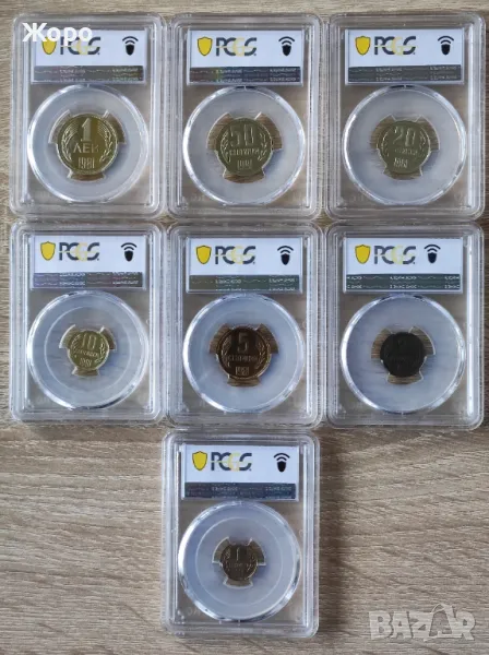 Пълен сет 1981 година България - Мат-гланц (пруф), снимка 1