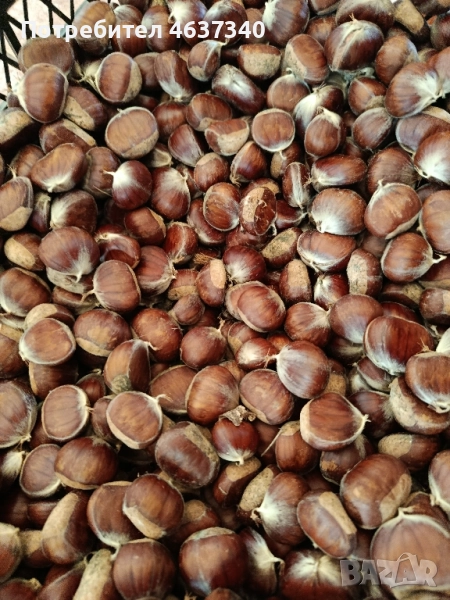 Сладки кестени от село, снимка 1