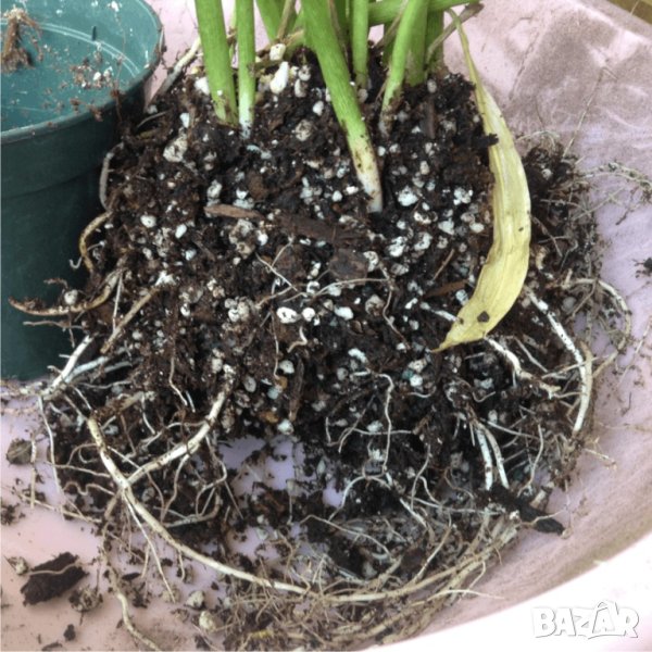 Тор -Почвена смес Компост УНИВЕРСАЛНА за отглеждане на плодове, зеленчуци, градински цветя, храсти , снимка 1