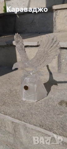 Орел Италианки Кристал