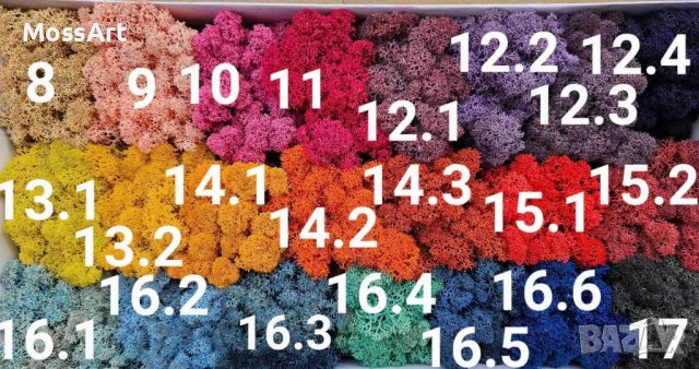 Скандинавски мъх 6лв. за 100г., снимка 4 - Декорация за дома - 36227320