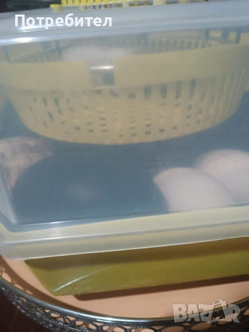 Инкубатор, снимка 2 - За птици - 53204133