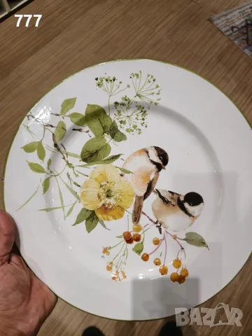 чинии , снимка 3 - Чинии - 47273556