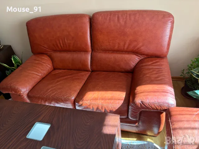 Холна гарнитура - диван, фотьойл, кресло, снимка 7 - Дивани и мека мебел - 47734615