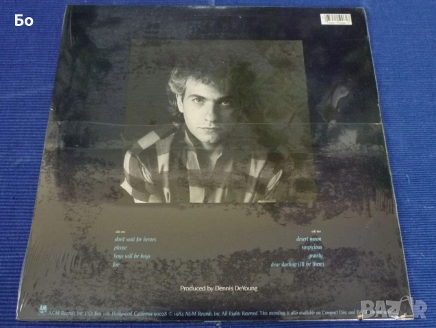 грамофонни плочи Styx, снимка 13 - Грамофонни плочи - 30522651