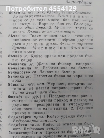 Български тълковен речник, снимка 4 - Енциклопедии, справочници - 51465157
