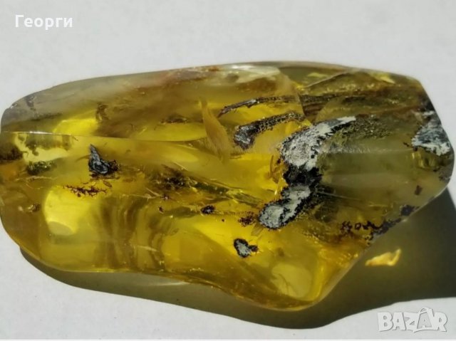 Уникално парче Балтийски кехлибар с отлично съхранени фосили, снимка 12 - Други ценни предмети - 34014656