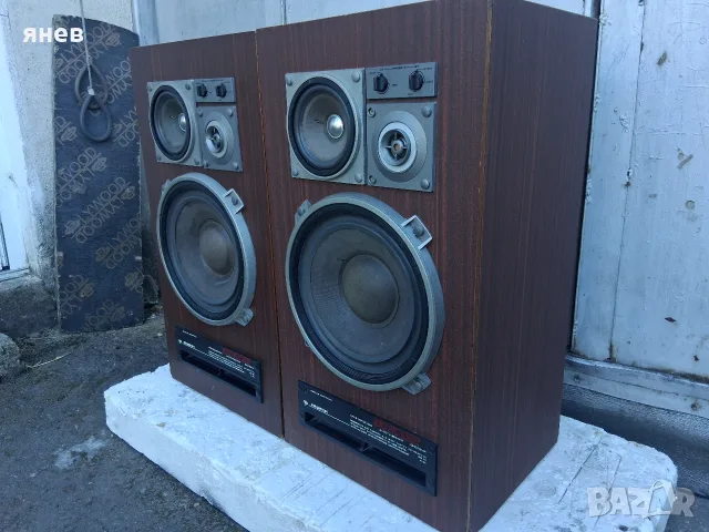 Амфитон 100АС-022 , снимка 4 - Тонколони - 56130946