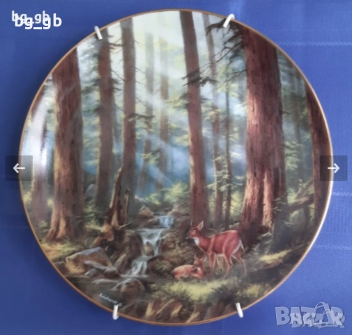 Колекционерска декоративна чиния USA, снимка 4 - Декорация за дома - 35758628