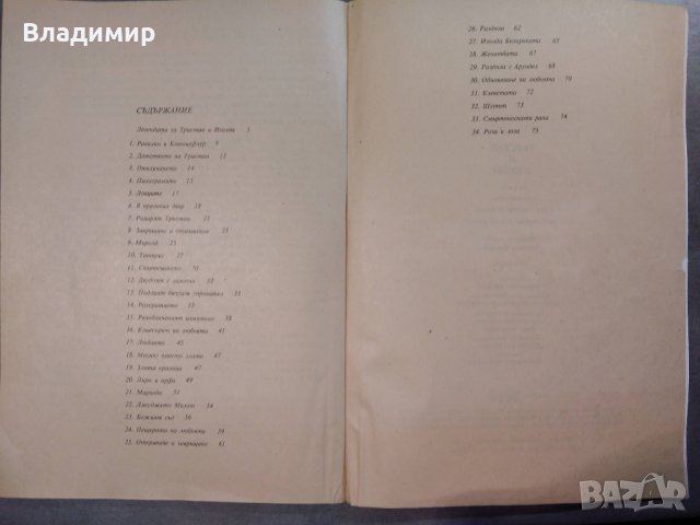 Тристан и Изолда - Гюнтер де Бройн, снимка 2 - Художествена литература - 30690176