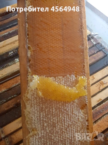 Пчелен мед от Странджа 7,00 лева за 1 килограм в буркан , снимка 2 - За пчели - 51369721
