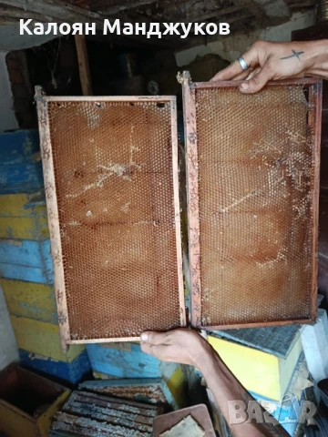 кошери, снимка 3 - За пчели - 51145524