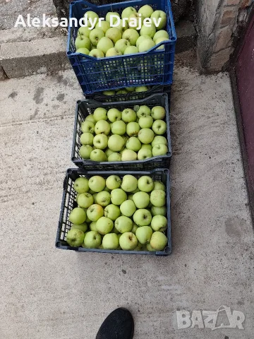 Круши, Ябълки,Мед и Сокове , снимка 10 - Домашни продукти - 56258345