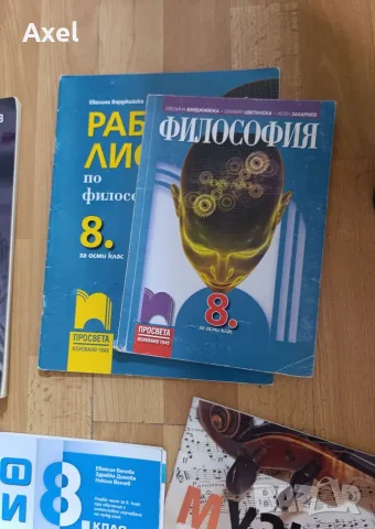 Учебници и тетрадки за 8 клас, снимка 4 - Учебници, учебни тетрадки - 56085694