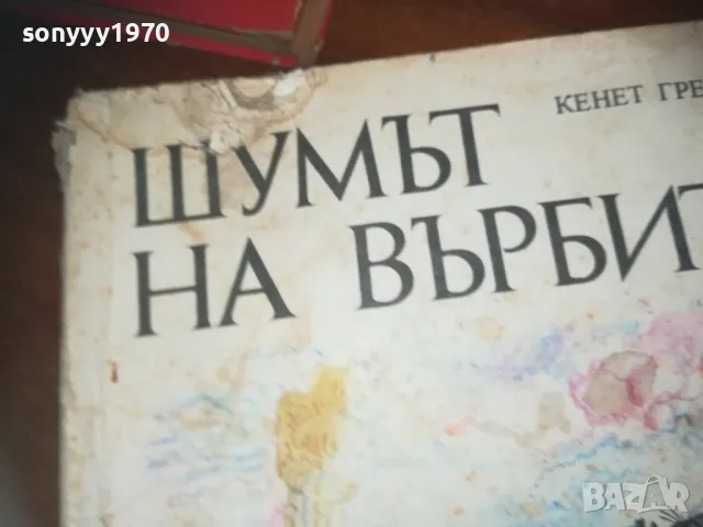ШУМЪТ НА ВЪРБИТЕ-КНИГА 0310241027, снимка 6 - Художествена литература - 47445317