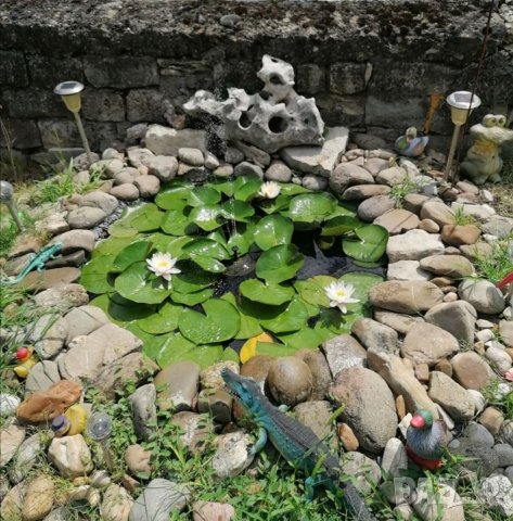 Бяла водна лилия, снимка 1