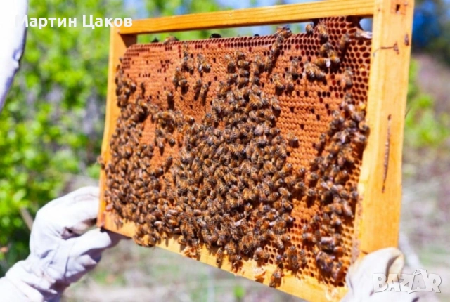 Продавам ДБ рамки с пило 