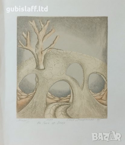 Картина, графика, "Жажда", худ. В. Апостолова, 1995 г., снимка 1 - Картини - 42462065