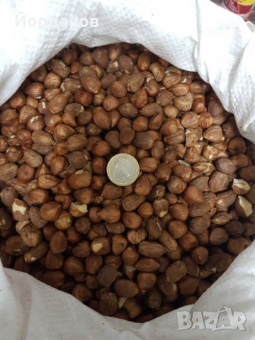 Български лешници без черупка - реколта 2025 г., снимка 2 - Други - 35210181