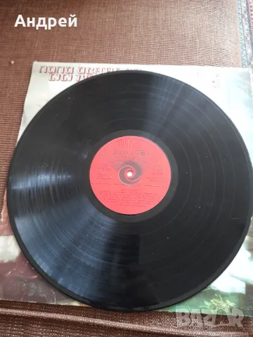 Грамофонна плоча Лили Иванова #4, снимка 3 - Грамофонни плочи - 49597829