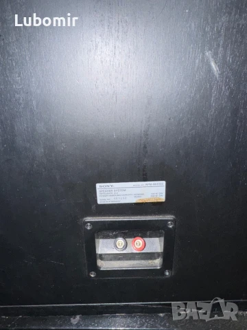 SONY -APM66 ESG, снимка 3 - Тонколони - 51024777
