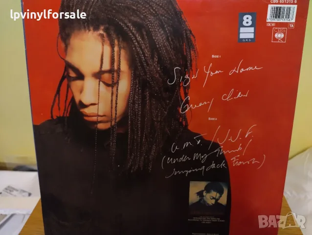 Terence Trent D'Arby – Sign Your Name, снимка 2 - Грамофонни плочи - 56154743