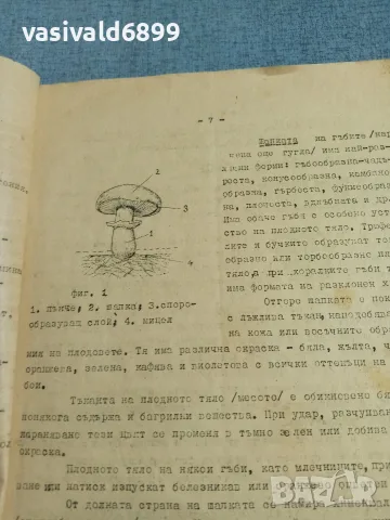 "Задочен курс по гъбарство" свитък 1, снимка 6 - Специализирана литература - 56433187