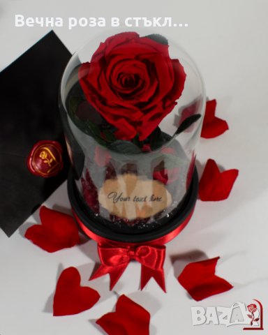 Подарък за Рожден Ден / ЕСТЕСТВЕНА Вечна Роза в Стъкленица / Оригинален Подарък за Жена / Вечна Роза, снимка 2 - Подаръци за рожден ден - 24124568