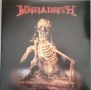 Грамофонна Плоча (Megadeth - The World Needs a Hero), снимка 1