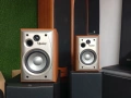 Тонколони INFINITY Alpha-5, снимка 3