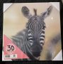 Квадратна Картина 28см с 3Д изображение на зебра , картина с дървена рамка за окачване, снимка 1 - Картини - 40830826